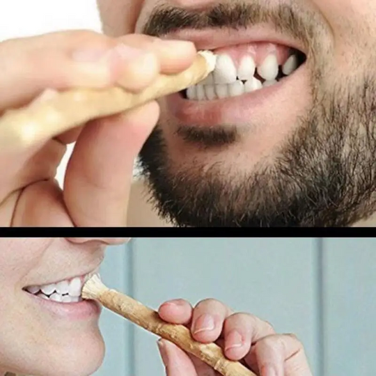Natural Miswak Toothbrush Sticks – Eco-Friendly Soft Bristle Siwak Toothbrush | No Toothpaste Needed | Sustainable Oral Care for Fresh Breath & Healthy Teeth