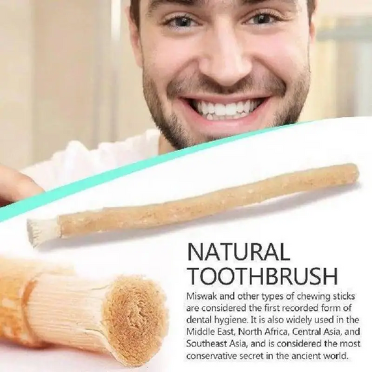 Natural Miswak Toothbrush Sticks – Eco-Friendly Soft Bristle Siwak Toothbrush | No Toothpaste Needed | Sustainable Oral Care for Fresh Breath & Healthy Teeth